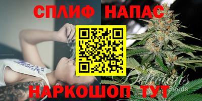 мяу мяу мука Беслан