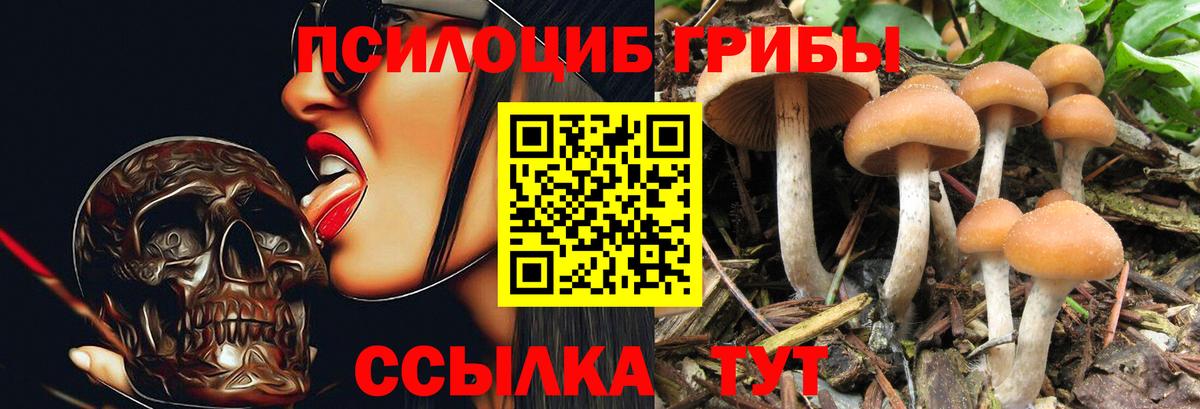 Галлюциногенные грибы Cubensis Кирово-Чепецк