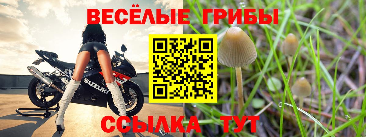 Кирово-Чепецк  купить  цена  Вход с VPN  Галлюциногенные грибы мицелий 